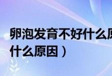 卵泡發(fā)育不好什么原因引起的（卵泡發(fā)育不好什么原因）