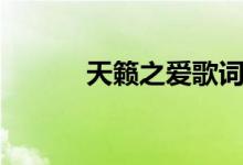 天籟之愛歌詞（天籟之愛歌詞）