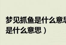 夢見抓魚是什么意思周公解夢官網(wǎng)（夢見抓魚是什么意思）