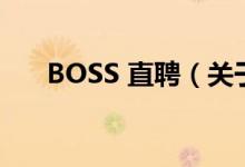 BOSS 直聘（關(guān)于BOSS 直聘的介紹）