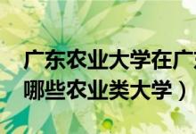 廣東農(nóng)業(yè)大學(xué)在廣東排第幾（2022年廣東有哪些農(nóng)業(yè)類大學(xué)）