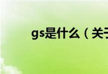 gs是什么（關(guān)于gs是什么的介紹）