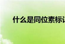 什么是同位素標(biāo)記法（什么是同位素）