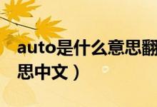 auto是什么意思翻譯成中文（auto是什么意思中文）