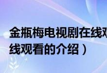 金瓶梅電視劇在線觀看（關(guān)于金瓶梅電視劇在線觀看的介紹）