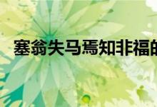 塞翁失馬焉知非福的寓言故事（塞翁失馬）