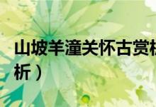 山坡羊潼關懷古賞析視頻（山坡羊潼關懷古賞析）