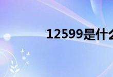 12599是什么號碼（12599）