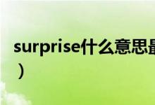 surprise什么意思最高級(jí)（surprise什么意思）