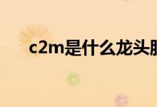 c2m是什么龍頭股（c2m是什么概念）