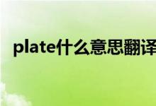 plate什么意思翻譯中文（plate什么意思）