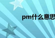 pm什么意思（pm什么意思）