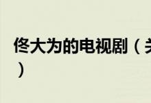 佟大為的電視?。P(guān)于佟大為的電視劇的介紹）