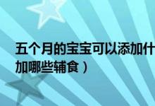 五個月的寶寶可以添加什么樣的輔食（5個多月寶寶可以添加哪些輔食）