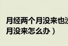 月經(jīng)兩個月沒來也沒懷孕吃什么藥（月經(jīng)兩個月沒來怎么辦）