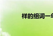 樣的組詞一年級(jí)（樣的組詞）