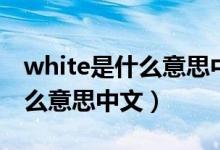 white是什么意思中文翻譯人名（white是什么意思中文）