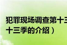 犯罪現(xiàn)場調(diào)查第十三季（關于犯罪現(xiàn)場調(diào)查第十三季的介紹）