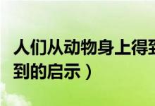 人們從動物身上得到啟示（人們從動物身上得到的啟示）