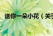 送你一朵小花（關于送你一朵小花的介紹）