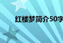 紅樓夢簡介50字左右（紅樓夢簡介）