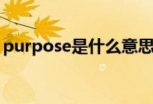 purpose是什么意思（purpose是什么意思）