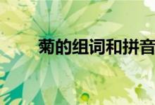 菊的組詞和拼音是什么（菊的組詞）