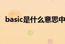 basic是什么意思中文（basic是什么意思）