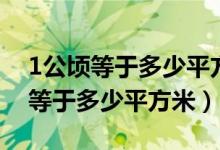 1公頃等于多少平方米等于多少千米（1公頃等于多少平方米）