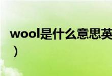 wool是什么意思英語翻譯（wool是什么意思）