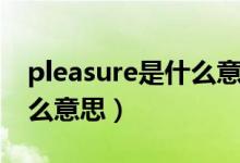 pleasure是什么意思怎么讀（pleasure是什么意思）