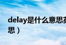 delay是什么意思英語單詞（delay是什么意思）