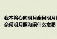 我本將心向明月奈何明月照溝渠什么意思（我本將心向明月 奈何明月照溝渠什么意思）