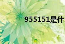 955151是什么意思（95515）