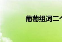 葡萄組詞二個(gè)字（葡萄組詞）