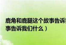 鹿角和鹿腿這個故事告訴我們什么道理（鹿角和鹿腿這個故事告訴我們什么）