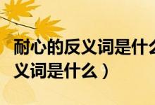 耐心的反義詞是什么近義詞是什么（耐心的反義詞是什么）