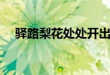 驛路梨花處處開出自哪首詩（驛路梨花）