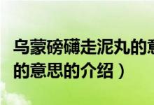 烏蒙磅礴走泥丸的意思（關(guān)于烏蒙磅礴走泥丸的意思的介紹）