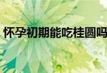 懷孕初期能吃桂圓嗎（懷孕初期能吃柿子嗎）