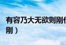 有容乃大無(wú)欲則剛什么意思（有容乃大無(wú)欲則剛）