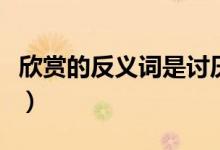 欣賞的反義詞是討厭嗎（欣賞的反義詞是什么）