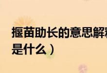 揠苗助長的意思解釋2年級（揠苗助長的意思是什么）