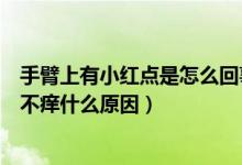 手臂上有小紅點是怎么回事不痛不癢（手臂上有小紅點不痛不癢什么原因）