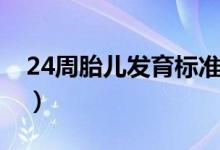 24周胎兒發(fā)育標準體重（24周胎兒發(fā)育標準）