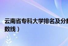 云南省?？拼髮W(xué)排名及分?jǐn)?shù)線（2022云南?？拼髮W(xué)排名及分?jǐn)?shù)線）