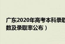 廣東2020年高考本科錄取人數(shù)（2022廣東高考本科錄取人數(shù)及錄取率公布）