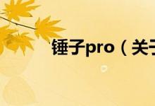 錘子pro（關(guān)于錘子pro的介紹）