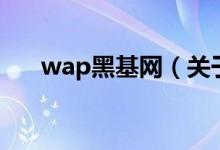 wap黑基網(wǎng)（關(guān)于wap黑基網(wǎng)的介紹）