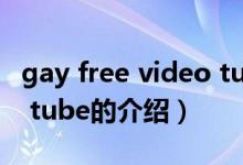 gay free video tube（關(guān)于gay free video tube的介紹）